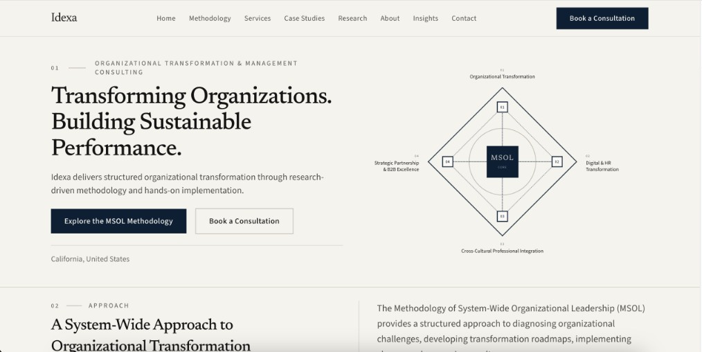 Idexa — Management Consulting